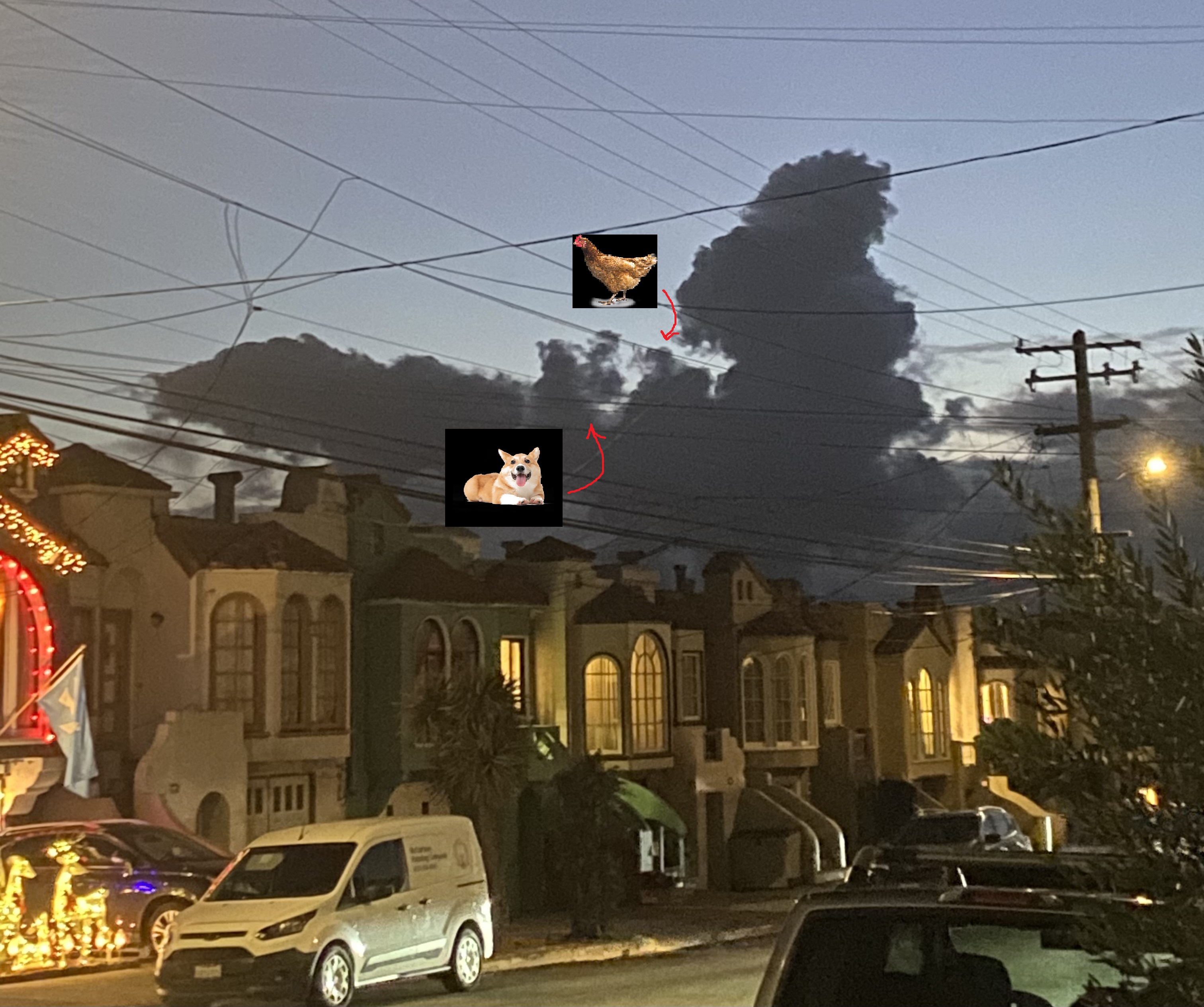 rocket monkey.jpeg