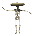 skeleton (3).gif