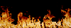 bg11.gif