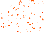 bg16.gif