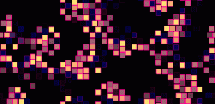 bg48.gif